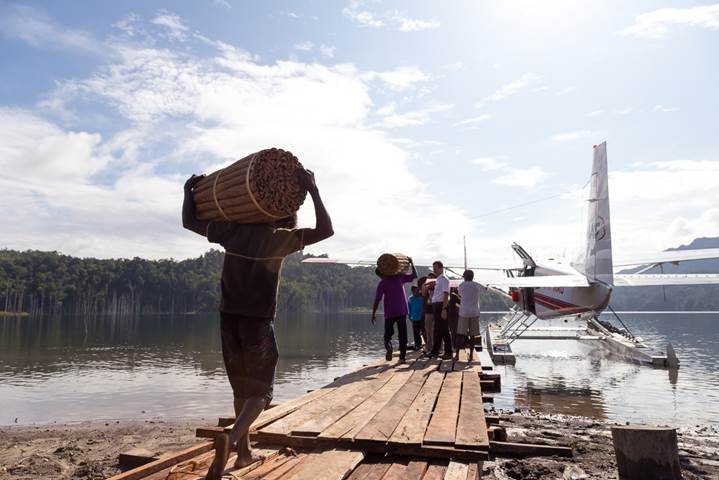 Villagers load bundles of Massoia bark to sell in Nabire. Photo by Mark and Kelly Hewes. 